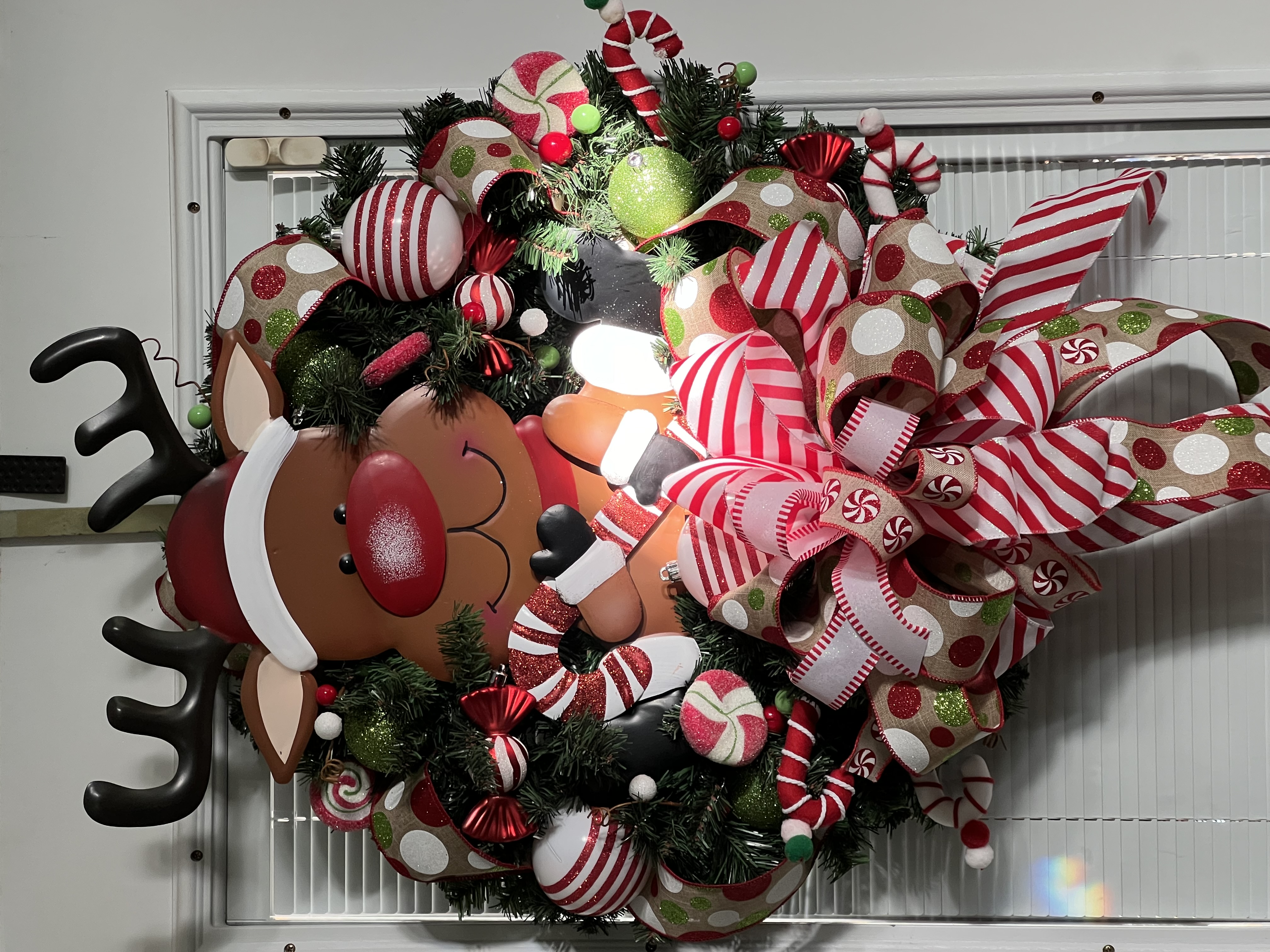 Reindeer