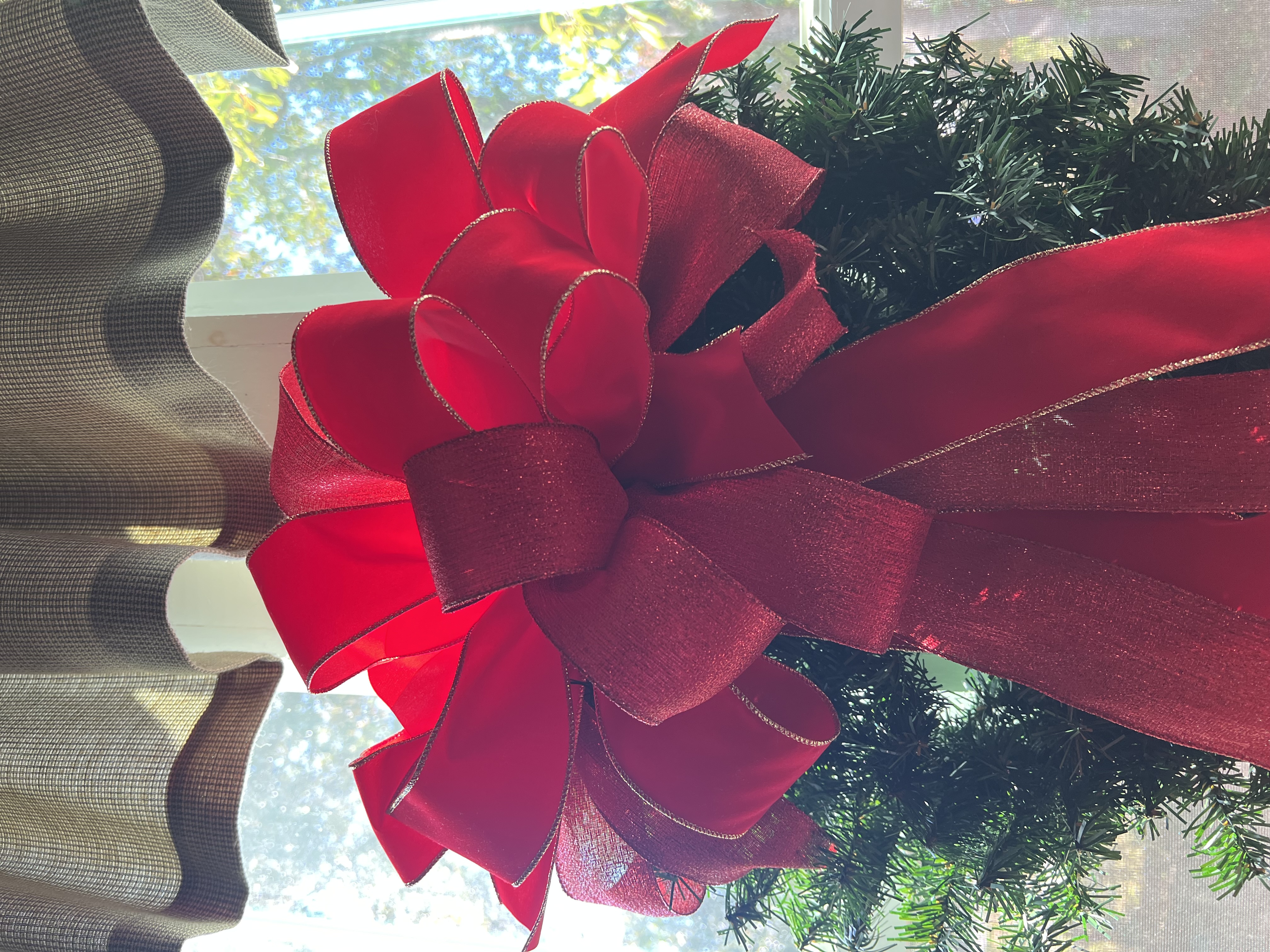 Bows 17
